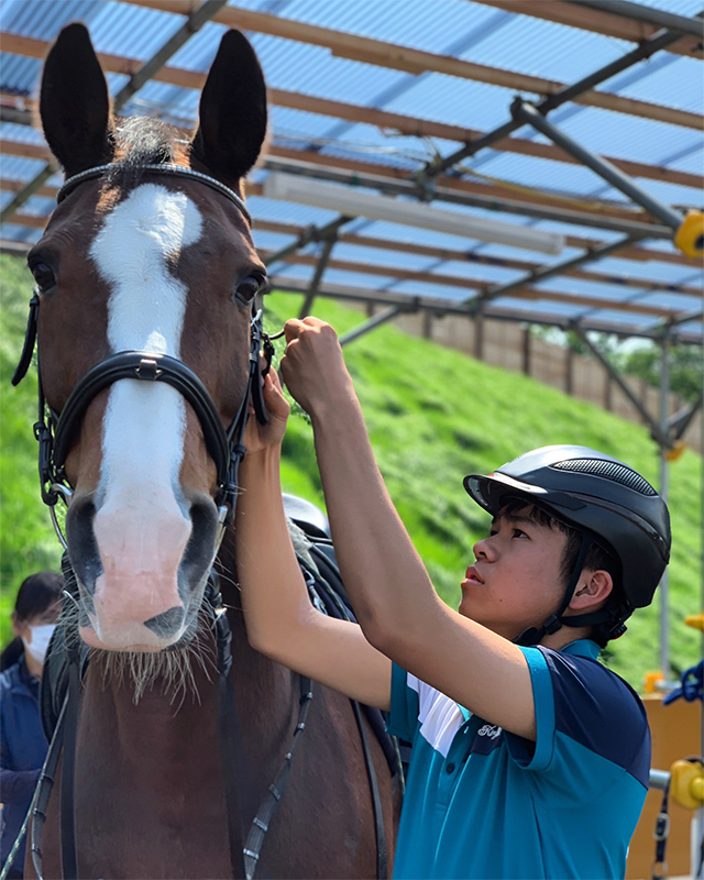 乗馬レッスン