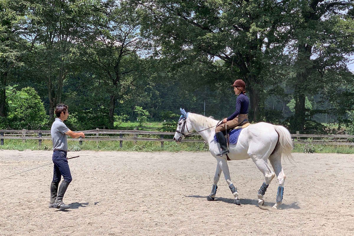 乗馬レッスン