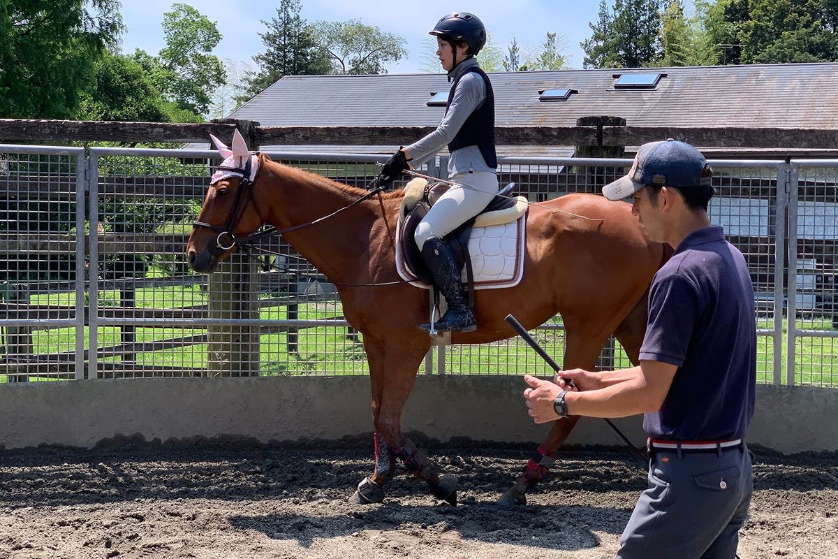 乗馬レッスン