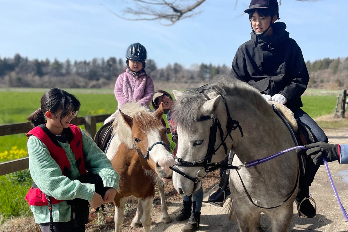 ポニー乗馬(引き馬)