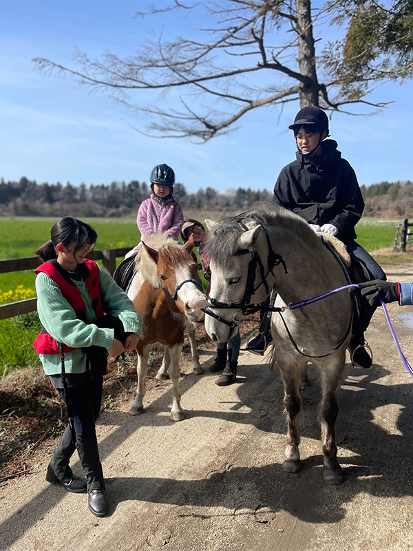 ポニー乗馬(引き馬)