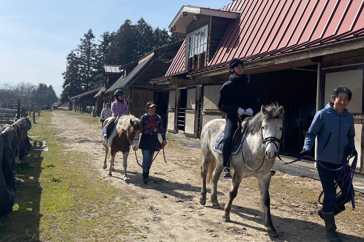 ポニー乗馬(引き馬)