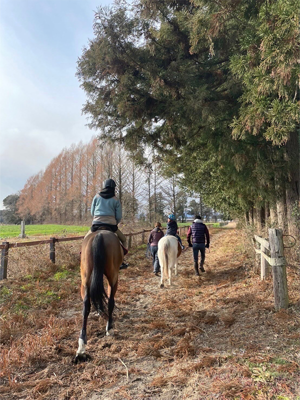 ポニー乗馬(引き馬)