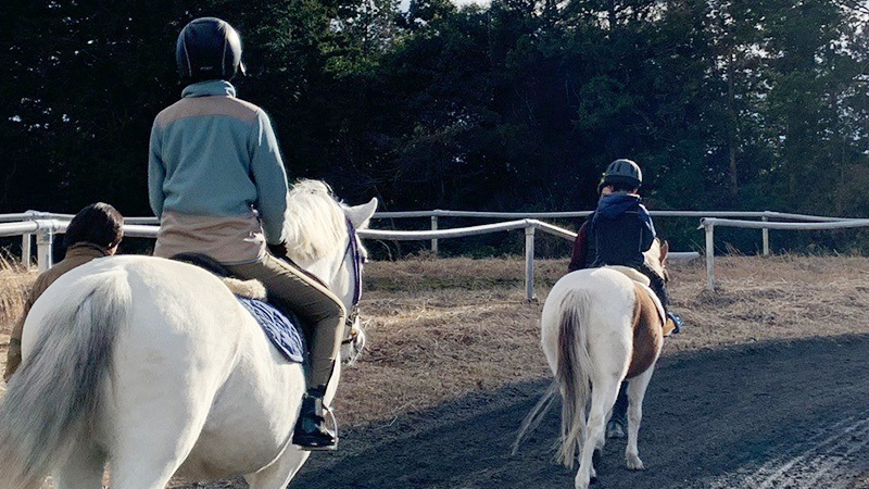 乗馬レッスン