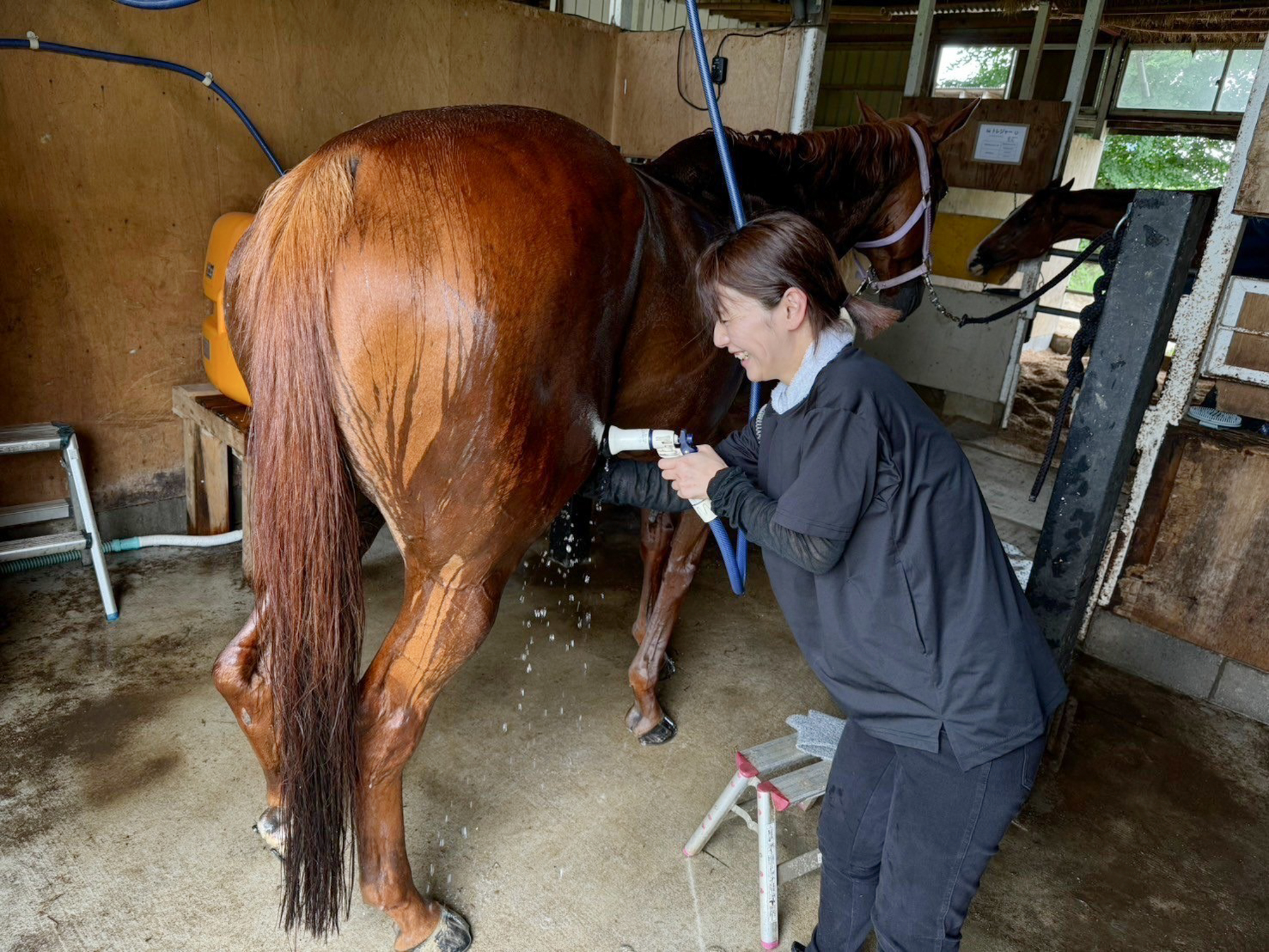 触れ合い&お世話体験