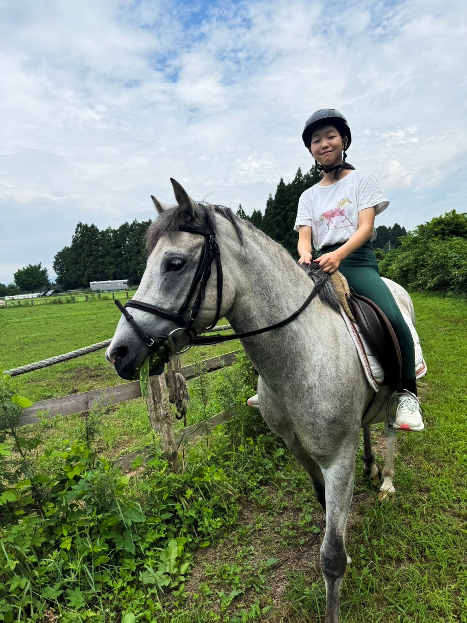 ポニー乗馬(引き馬)