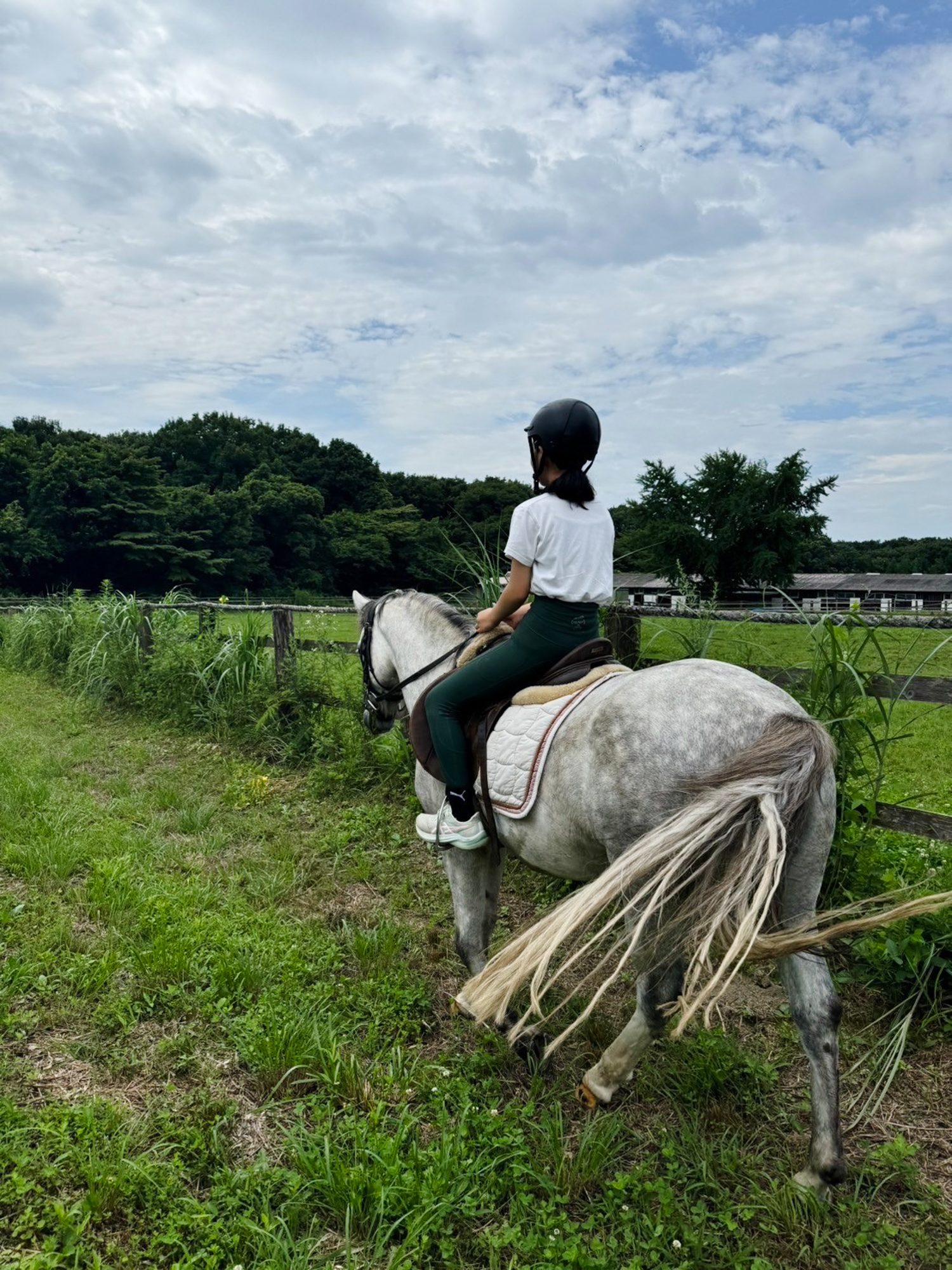 ポニー乗馬(引き馬)